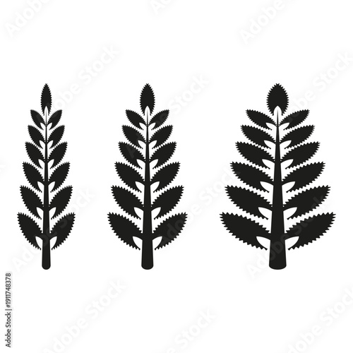 Three wheat icons. Cereal plant set. Agriculture harvest Vector. Black nature symbol.