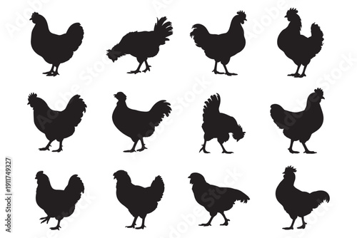 Chicken and hen silhouettes in various walking and pecking poses vector set isolated on white background