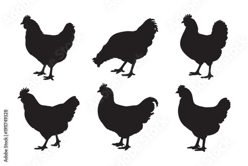 Chicken and hen silhouettes in various walking and pecking poses vector set isolated on white background