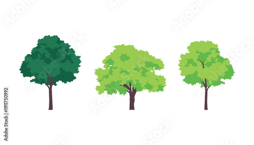 Collection of Green Cartoon Trees. Nature Vector Illustration