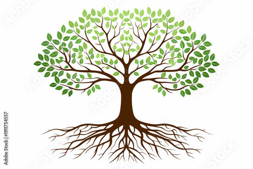 Stylized illustration of a lush green tree with visible roots and branches