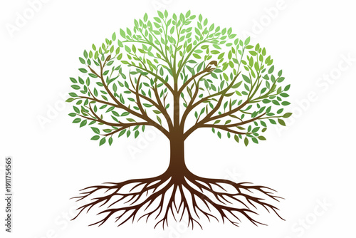 Stylized illustration of a lush green tree with detailed roots and foliage
