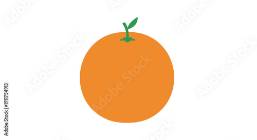 Fresh orange fruit illustration isolated on a white background