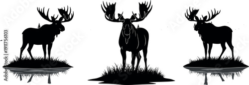 Collection of black moose silhouettes standing in grass with water reflection, cad drawing flat vector illustration for wildlife nature design.
