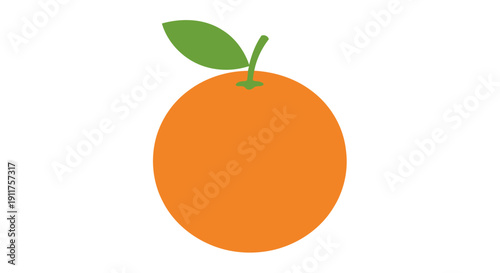 Orange fruit illustration on white background for design and commercial uses
