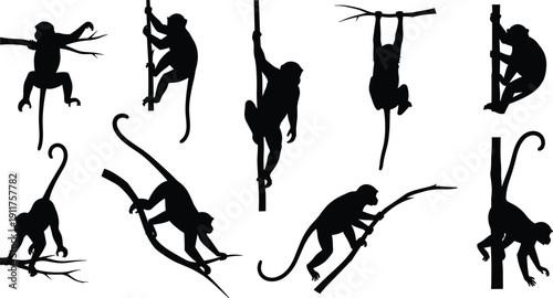 Monkey silhouettes collection with various climbing and swinging poses isolated on white background, wild primate vector set for design