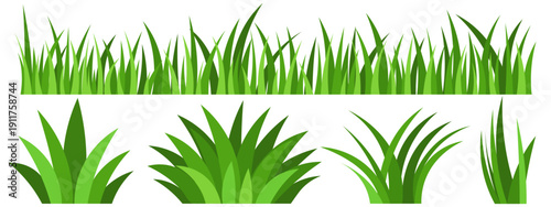 Vector image of green lawn grass for open ground, isolated on a white background. Cartoon garden image, element for your design.