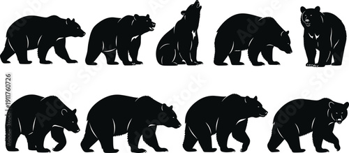 Set of black bear silhouettes in various walking and sitting poses, wild grizzly wildlife icons, powerful .