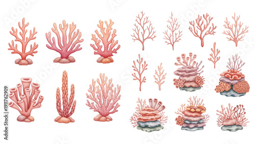 A charming watercolor collection of coral reef elements, including branching pink corals, tube sponges, layered reef formations, and delicate ocean floor details.