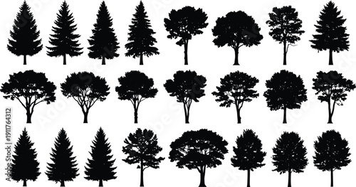 Tree silhouettes collection featuring pine and deciduous varieties isolated on white background, detailed forest vector set for landscape design