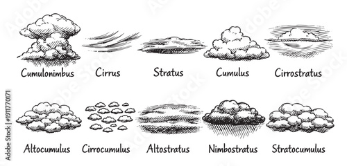 Hand drawn cloud types illustration. Can be used for weather, nature, science, education, art or creative projects. Vector illustration with names.