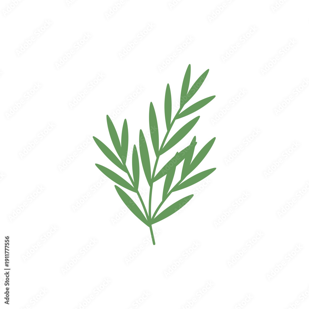 Fototapeta premium Tarragon Herb Cluster with Smooth Edges Detailed Botanical Flat 2D Vector Illustration