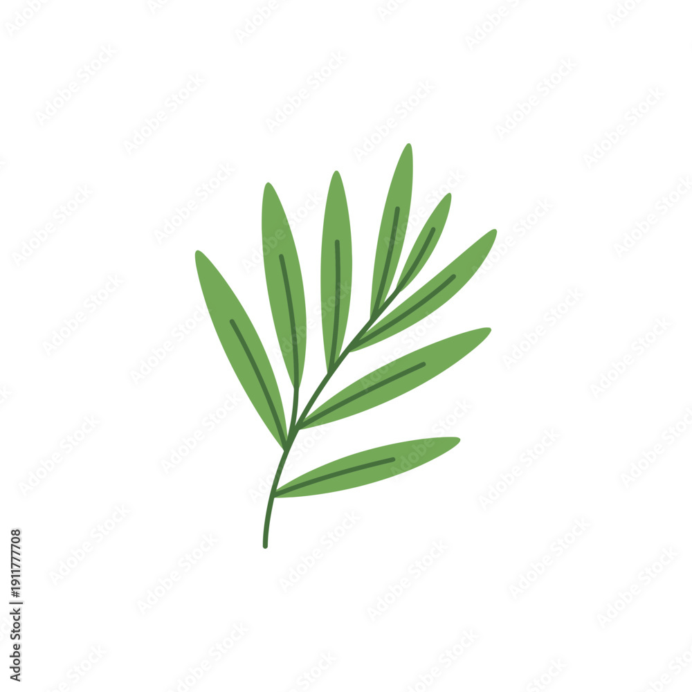 Fototapeta premium Tarragon Leaves Arranged Naturally, Botanical Herb Flat 2D Vector Illustration Design