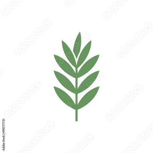 Tarragon Leaves Forming Chevron Pattern Elegant Culinary Herb Vector Illustration