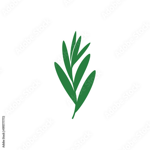 Tarragon Leaves Forming Abstract Vertical Shape Culinary Herb Vector Illustration