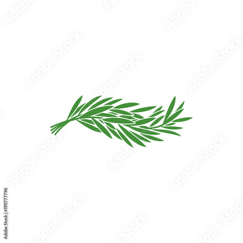 Tarragon Leaves Forming Gentle Wave Culinary Herb Vector Botanical Illustration Art