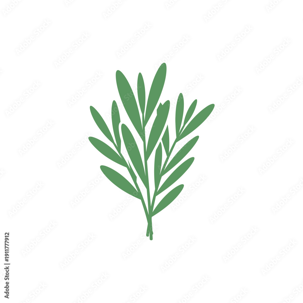 Fototapeta premium Tarragon Leaves with Soft Organic Spacing, Flat Botanical Vector Illustration, Natural Herb Design