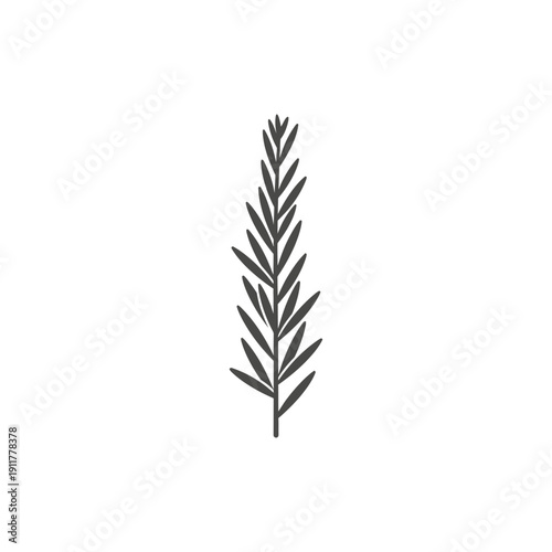 Tarragon Plant with Tall Clean Profile Modern Culinary Herb Botanical Vector Design