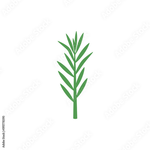Tarragon Plant with Thick Flat Stem Strong Culinary Herb Botanical Vector Design