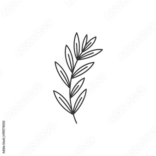 Tarragon Sprig with Elegant Flat Curves Herbal Botanical Vector Illustration Design