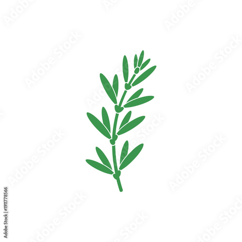 Tarragon Sprig with Visible Leaf Nodes Botanical Culinary Green Herb 2D Vector Illustration Icon
