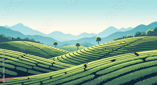 Rolling green tea hills meet distant misty blue mountains under a pale sky
