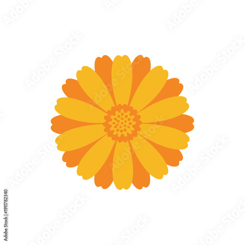 Calendula Flower Layered Flat Shapes, Modern Flat Vector Bloom Illustration, Decorative Petal Art Design