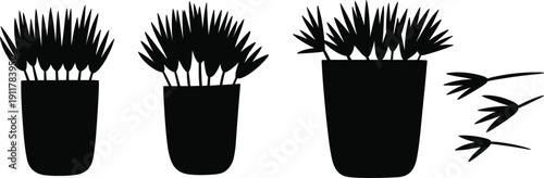 Three black potted plant silhouettes arranged in a row with detached leaves, symbolizing growth stages, isolated on white background, perfect for decorative, educational design projects.