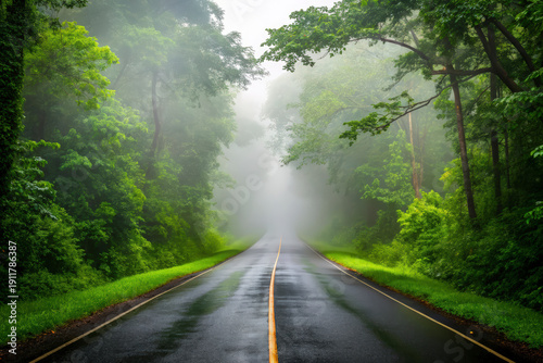 Scenic highway winding through a dense mysterious misty forest landscape at dawn