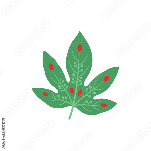 Passionflower Leaf with Red Extrafloral Nectaries and Simplified Spots, 2D Vector