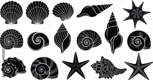 Sea shell and starfish silhouette illustration set, twenty black icons scallop spiral conical ornate marine design, vector artwork, ocean and biology theme, isolated background