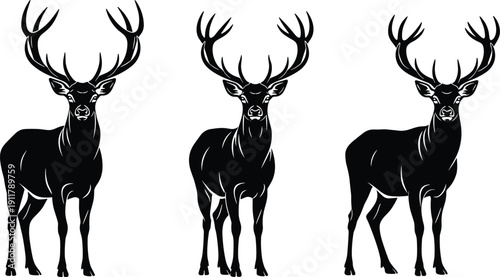Deer silhouette illustration set, three black icons male bucks antlers wildlife animal design, vector artwork, nature and forest theme, isolated background
