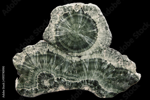 Fotografía Clinochlore Cross Section Close-Up, Mineral Crystal Structure and Internal Textu