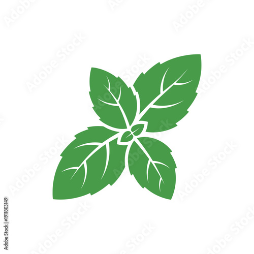 Solid Green Basil Leaf Vector, Flat Herb Illustration for Culinary and Garden