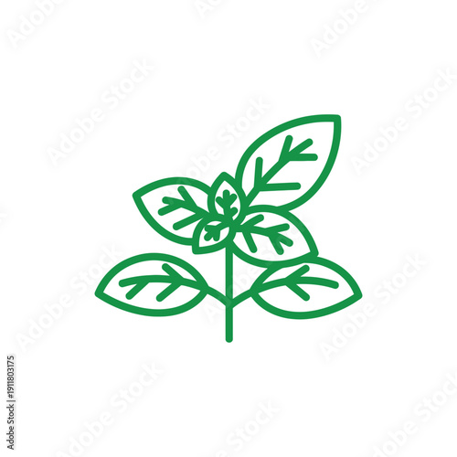 Bold Green Basil Plant Vector, Flat Herb Illustration for Culinary and Garden