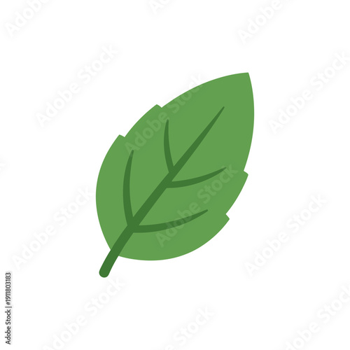 Single Basil Leaf Flat Vector Icon in Modern Minimal Green Design Style