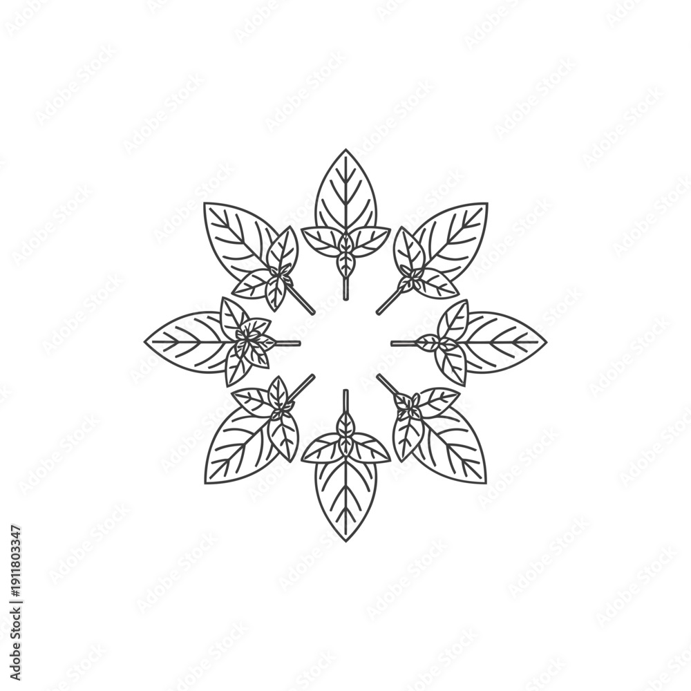 Obraz premium Basil Sprigs Radial Arrangement Vector, Simple Leaf Design, Herbal Plant Illustration