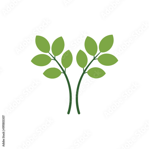 Basil Plant Icon with Two Stems Green Herb Vector Illustration for Cooking
