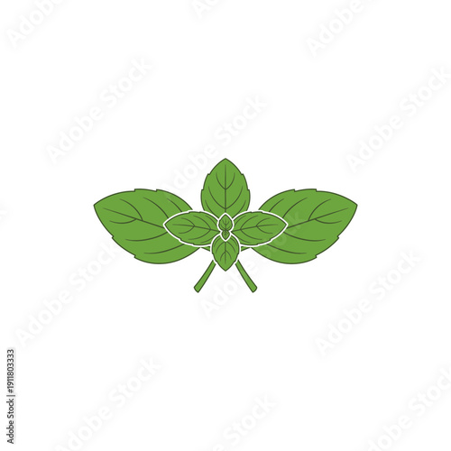 Basil Leaves Icon Arranged Symmetrically Green Vector for Cooking and Garden Herbs