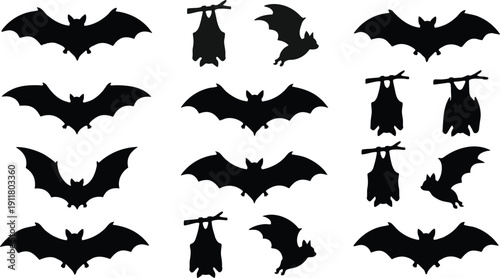 Collection of detailed black bat silhouettes with white wing bone lines flying and hanging for halloween decoration and spooky design