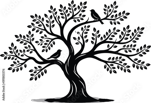 Black silhouette of twisted tree with leaves and two birds sitting on branches isolated on white background for nature design