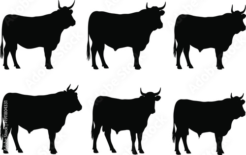 Black silhouette vector illustration of multiple cow profiles in side view, showcasing different breeds for farming, agriculture, dairy, and livestock concepts