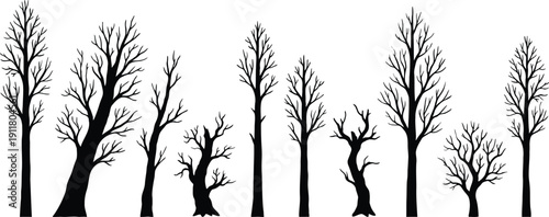 Collection of various bare black tree silhouettes without leaves isolated on white background for winter forest and spooky halloween landscape design