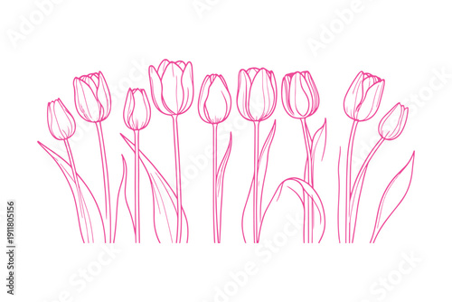 Mother's Day, tulip line art sketch, a single continuous line drawing. for a postcard