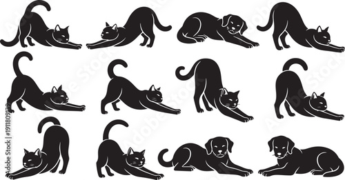 Black cat and dog silhouettes in various yoga poses
