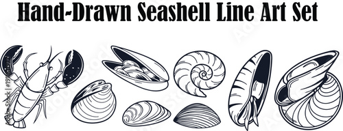 Collection of Hand-Drawn Seashell Line Art, Featuring Diverse Marine Life and Summer Beach Vibes
