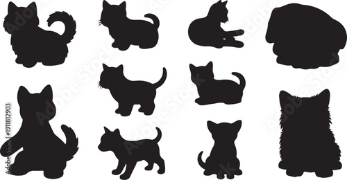 Black cat silhouettes on white background various poses collection