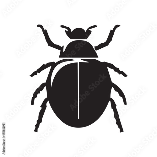 black beetle isolated on white background