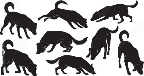 Set of black dog silhouettes in various poses and movements