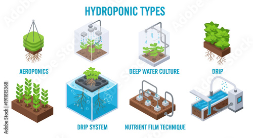 Different Types of Hydroponic Systems Illustrated.